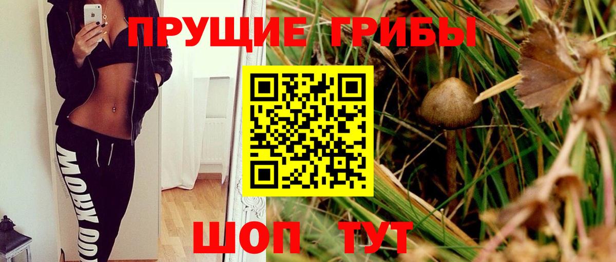 Галлюциногенные грибы GOLDEN TEACHER  Вход с VPN  Ликино-Дулёво  Псилоцибиновые грибы Magic Shrooms 